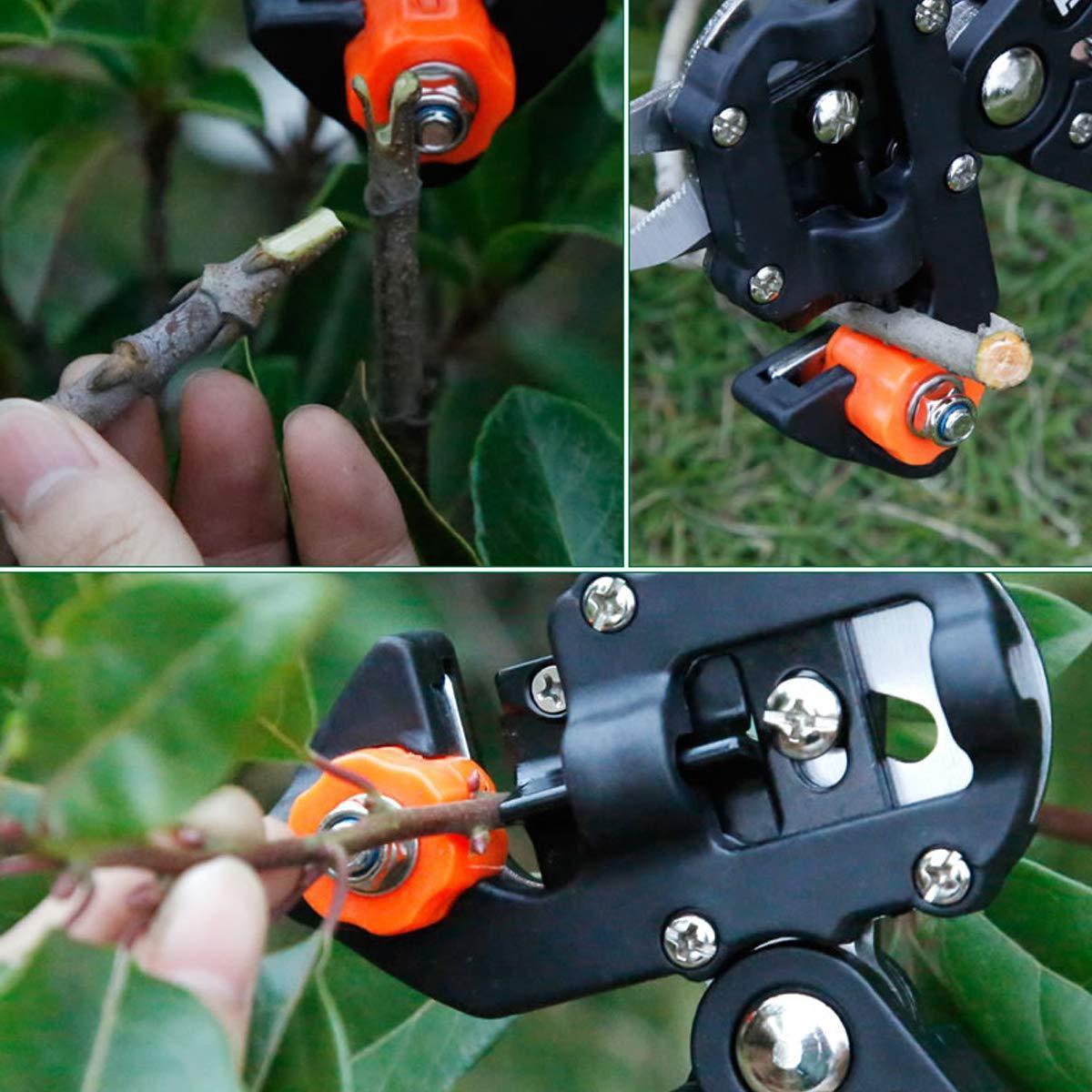 professional grafting tool
