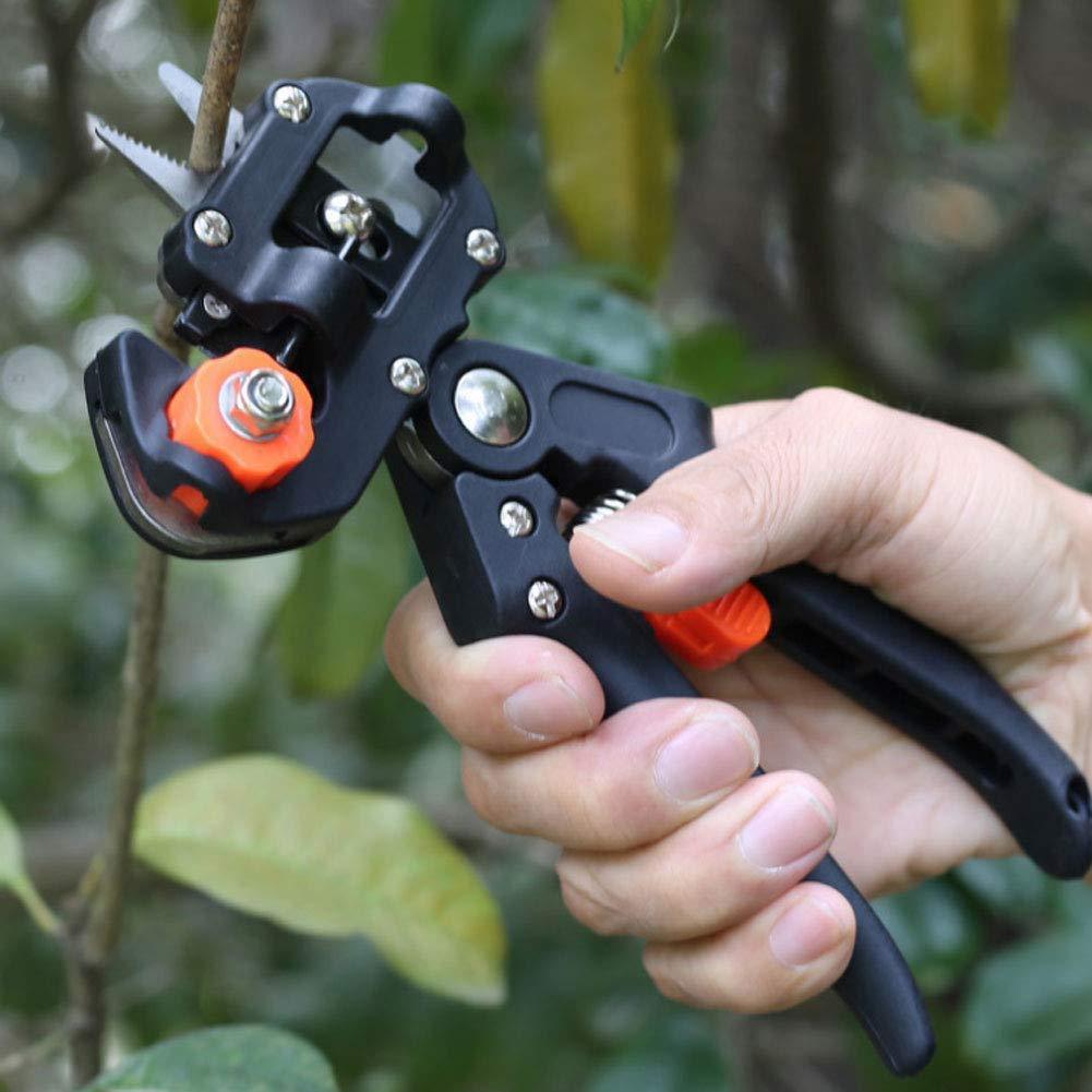 tree grafting kit