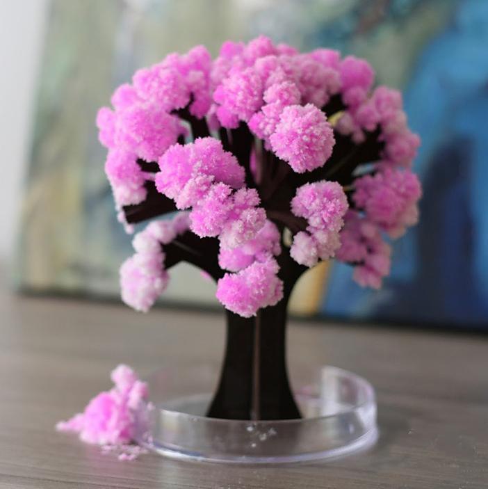 Magic Cherry Blossom Tree 1