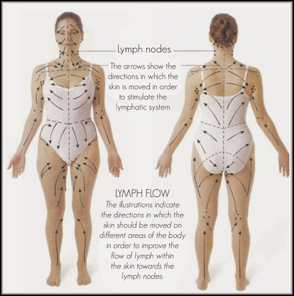 Herbal oil blend for lymphatic support