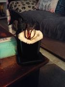 Luxury Faux Fur Eyeglass Holder 2