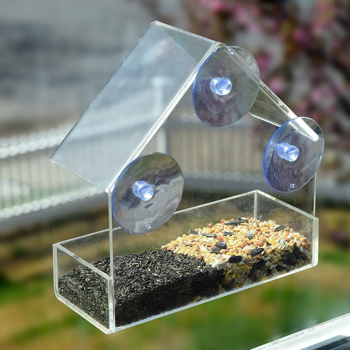 Little House Clear Bird Feeder 2