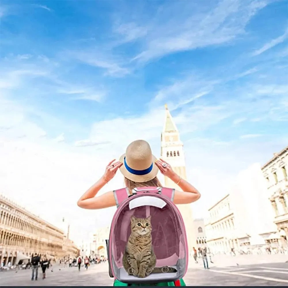 rozeCatPetCarrierBackpackTransparentCapsuleBubblePetBackpackSmallAnimalPuppyKittyBirdB
