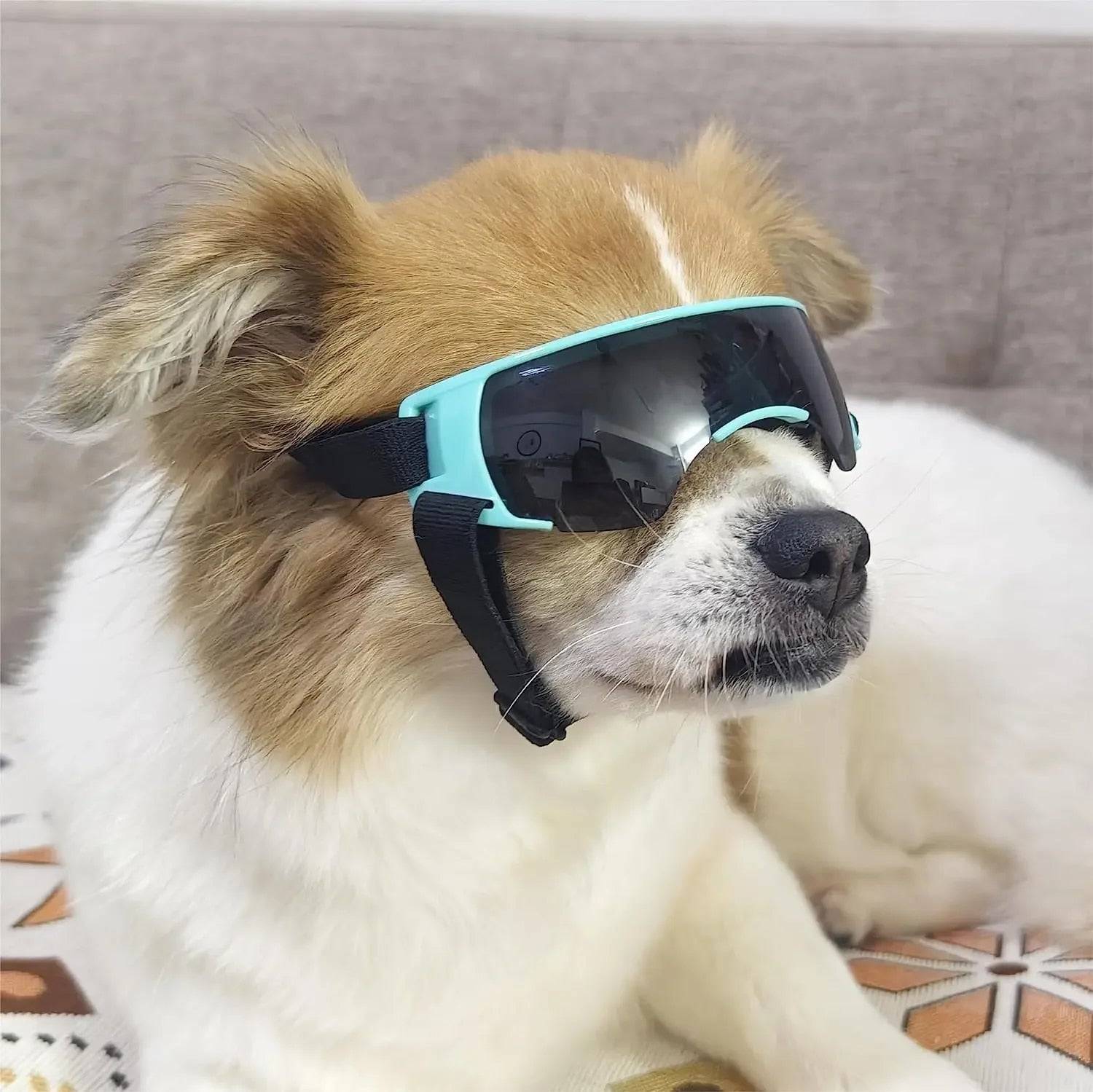 BaUlATUBANDogSunglassesSmallBreedDogGogglesforSmallDogsWindproofAntiUVGlassesforDogs