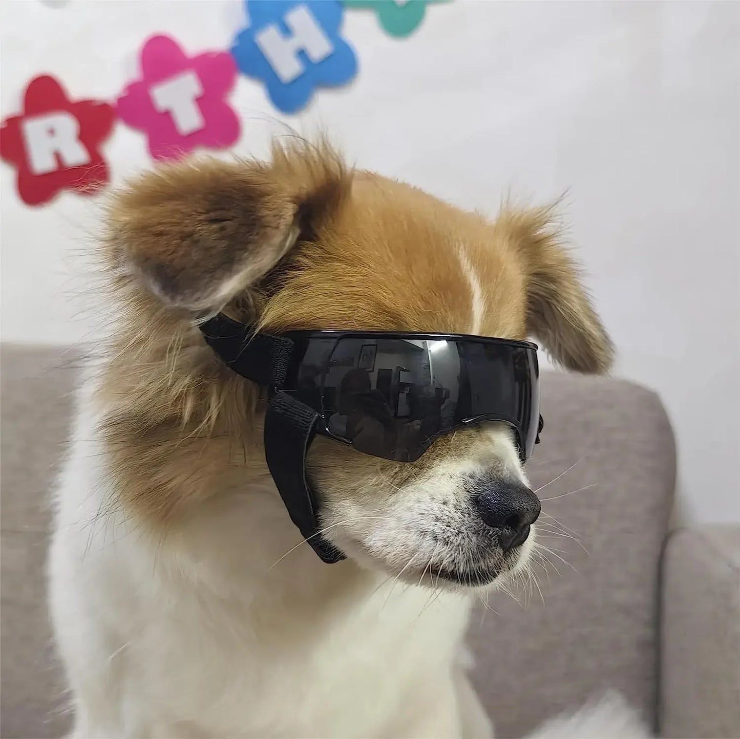 6E6aATUBANDogSunglassesSmallBreedDogGogglesforSmallDogsWindproofAntiUVGlassesforDogs