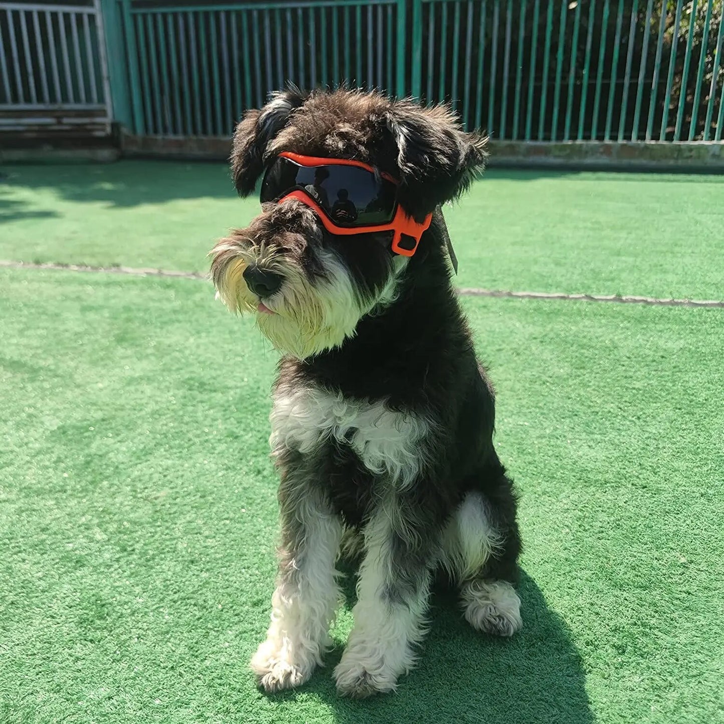 cYxQUV-Protective-Goggles-for-Dogs-Cat-Sunglasses-Cool-Protection-Eyewear-for-Small-Medium-Dogs-Outdoor-Riding.jpg