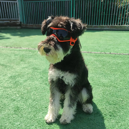 cYxQUV-Protective-Goggles-for-Dogs-Cat-Sunglasses-Cool-Protection-Eyewear-for-Small-Medium-Dogs-Outdoor-Riding.jpg
