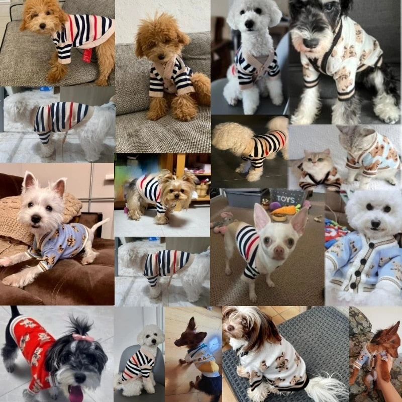 hSPnWinterDogClothesChihuahuaSoftPuppyKittenHighStripedCardiganWarmKnittedSweaterCoatF