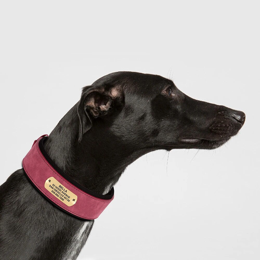fz0hWide-Personalized-Dog-Collar-PU-Leather-Customized-Dogs-Tag-Collars-Soft-Pet-Collar-for-Small-Medium.jpg