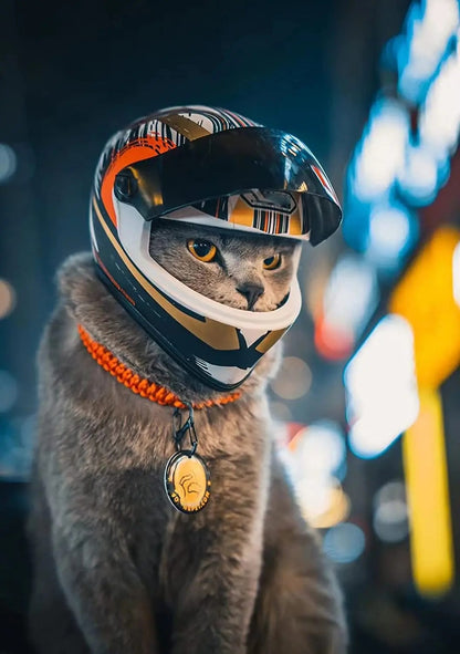 U9ICPet-Motorcycle-Helmet-Full-Face-Motorcycle-Helmet-Outdoor-Motorcycle-Bike-Riding-Helmet-Hat-for-Cat-Puppy.jpg
