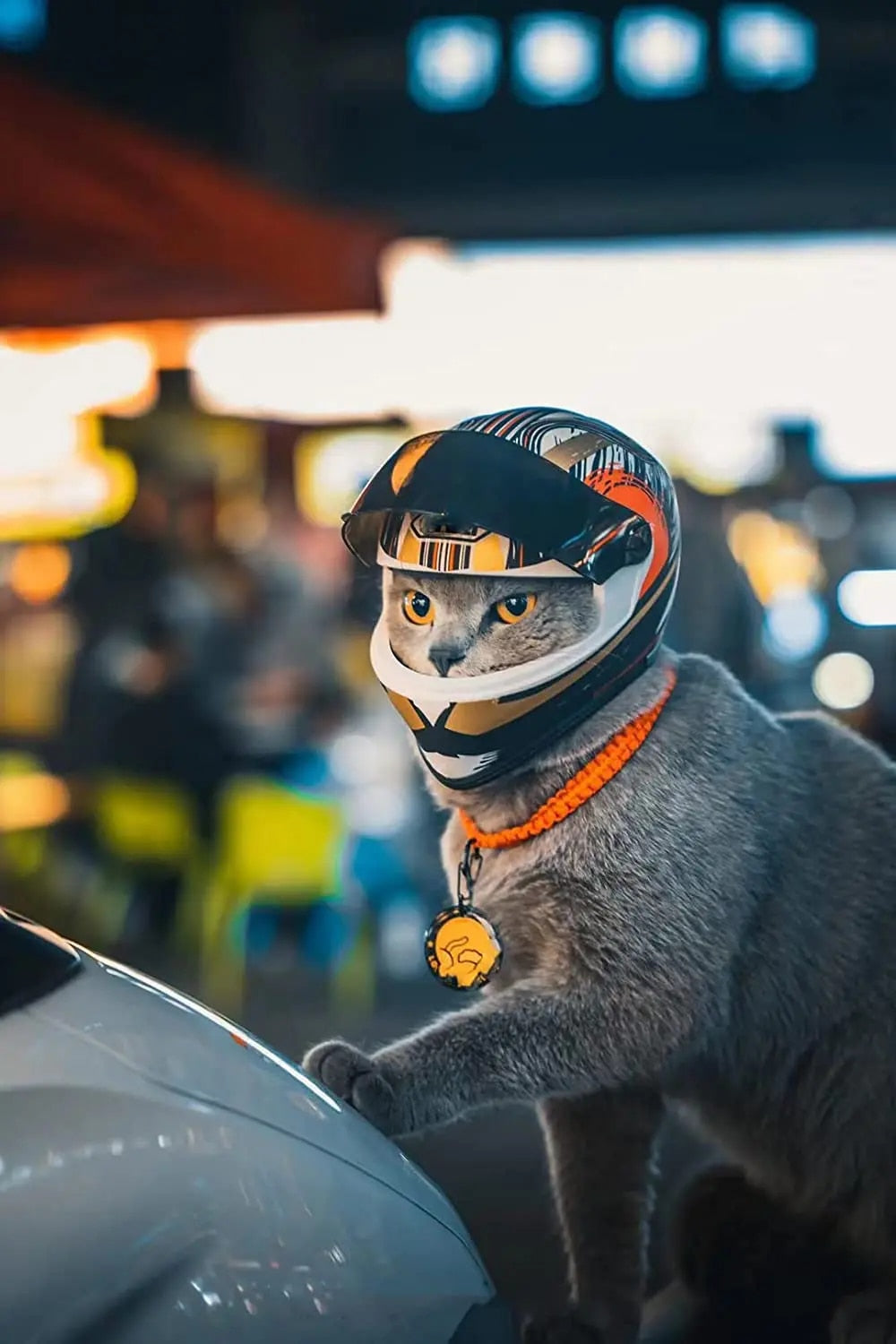 fA2APet-Motorcycle-Helmet-Full-Face-Motorcycle-Helmet-Outdoor-Motorcycle-Bike-Riding-Helmet-Hat-for-Cat-Puppy.jpg