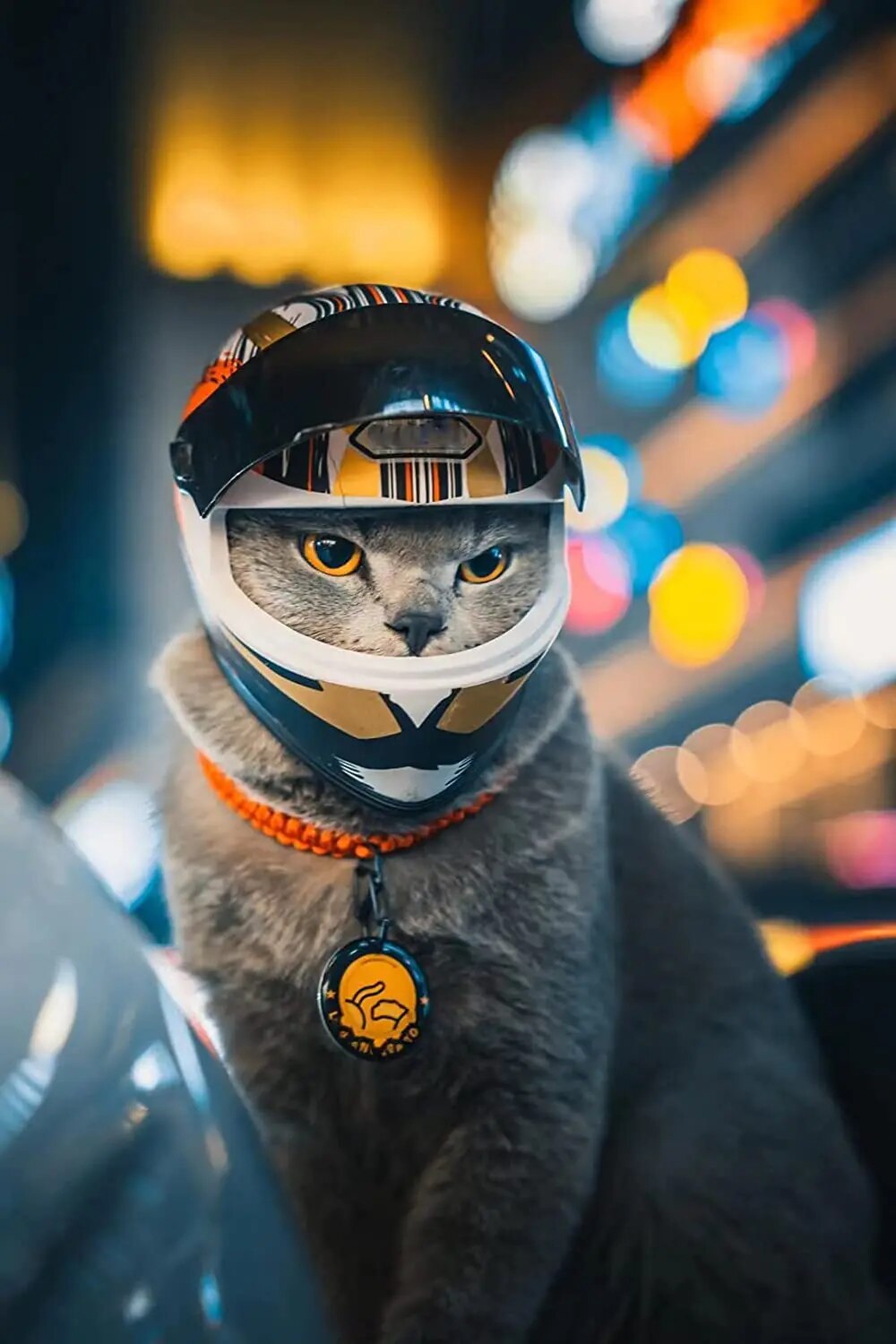 6QEkPet-Motorcycle-Helmet-Full-Face-Motorcycle-Helmet-Outdoor-Motorcycle-Bike-Riding-Helmet-Hat-for-Cat-Puppy.jpg