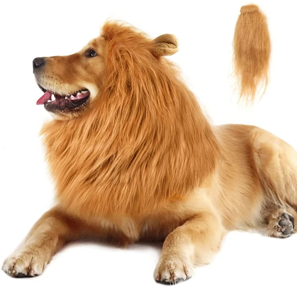 Large Dog Lion Mane Costume & Party Hat | Pet Cosplay Accessories