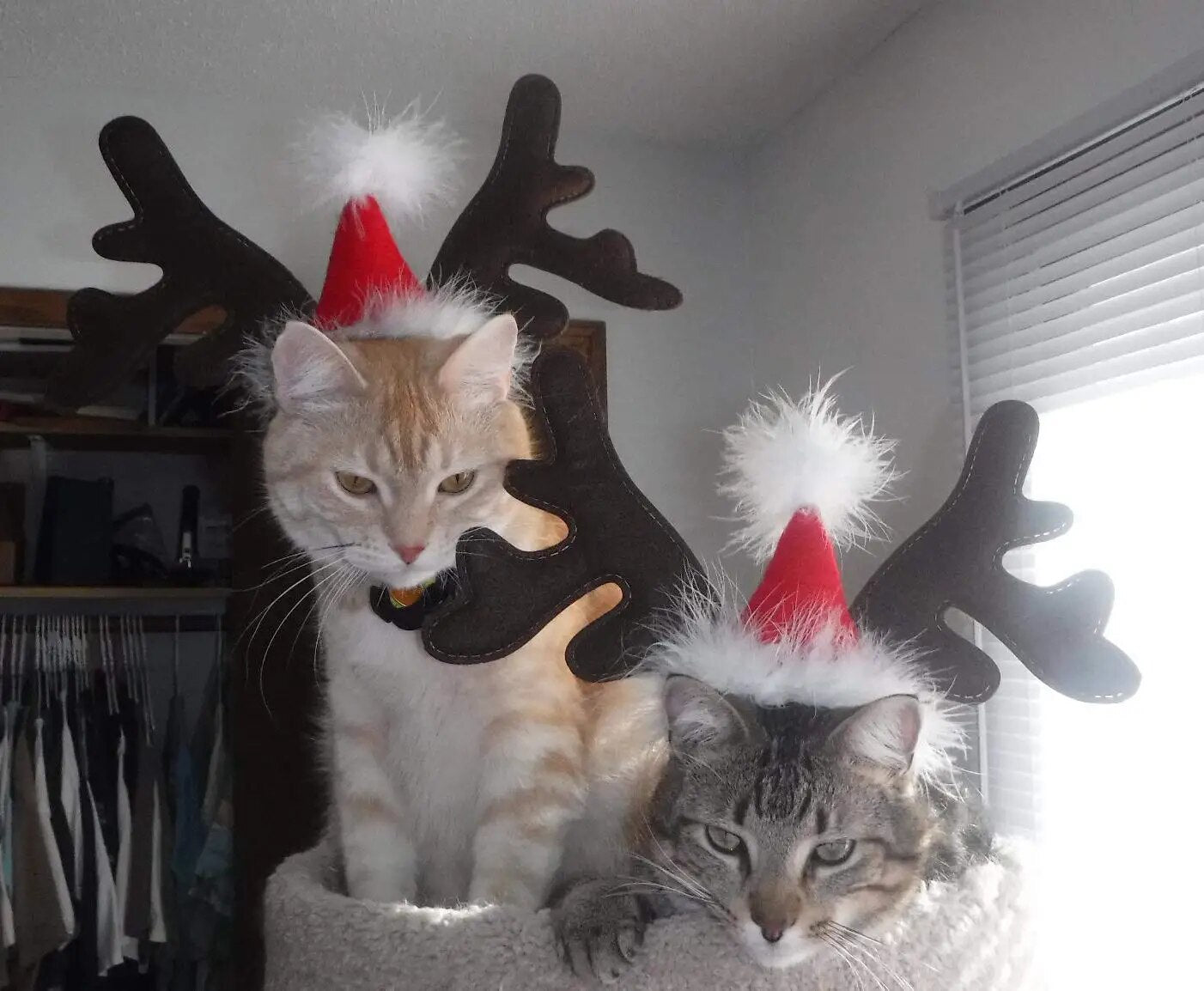 mR0EChristmas-Dog-Supplies-Elk-Reindeer-Antlers-Headband-Santa-Hat-Pet-Christmas-Cool-Dog-Costume-Cute-Headwear.jpg