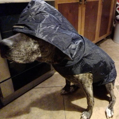cnjNDog-Raincoat-Waterproof-Hoodie-Jacket-Rain-Poncho-Pet-Rainwear-Clothes-with-Reflective-Stripe-Outdoor-Dogs-Raincoat.jpg