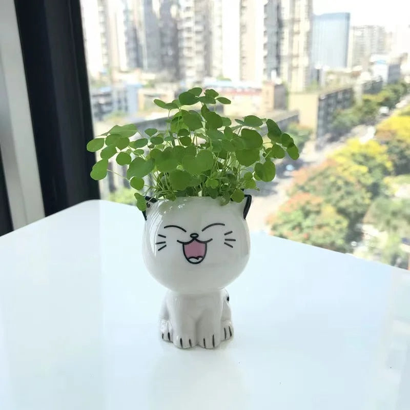 KrW01pc-Ceramic-Flowerpot-Mini-Cat-Cartoon-Cute-Potted-Plant-Desktop-Cat-Plant-Pot-DIY-Desk-Decorate.jpg