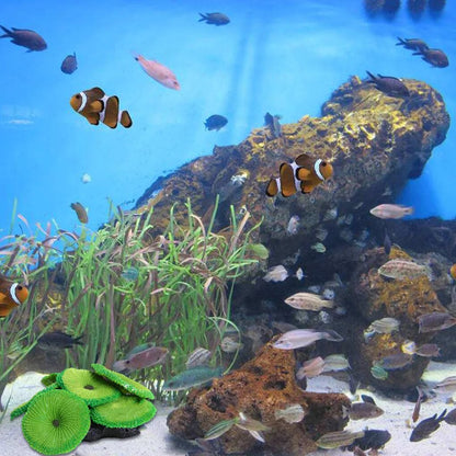 4Ga3Aquarium-Artificial-Coral-Fish-Tank-Landscape-Decoration-Plant-Simulation-Vivid-Soft-Coral-Ornament-Fish-Tank-Decoration.jpg