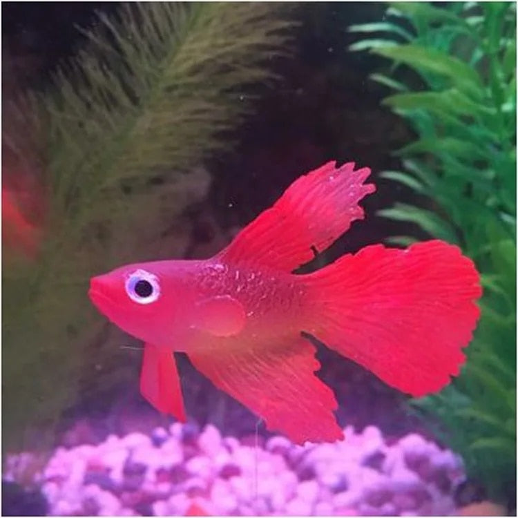 wa4a1pc-Silicone-Artificial-Night-Luminous-Hippocampus-Fish-Tank-Aquarium-Ornament-Underwater-Sea-Horse-Fish-Decoration-Pet.jpg