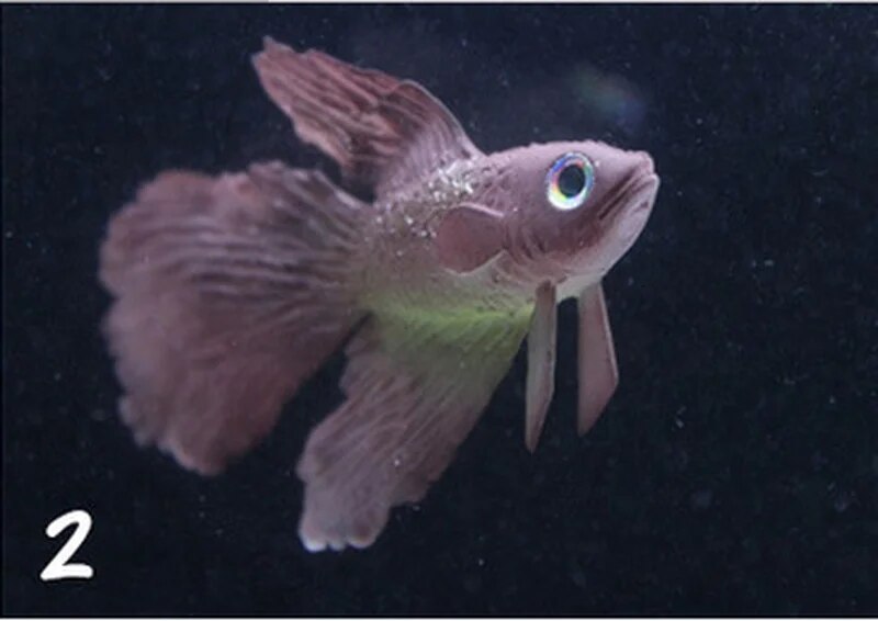 o5X71pc-Silicone-Artificial-Night-Luminous-Hippocampus-Fish-Tank-Aquarium-Ornament-Underwater-Sea-Horse-Fish-Decoration-Pet.jpg