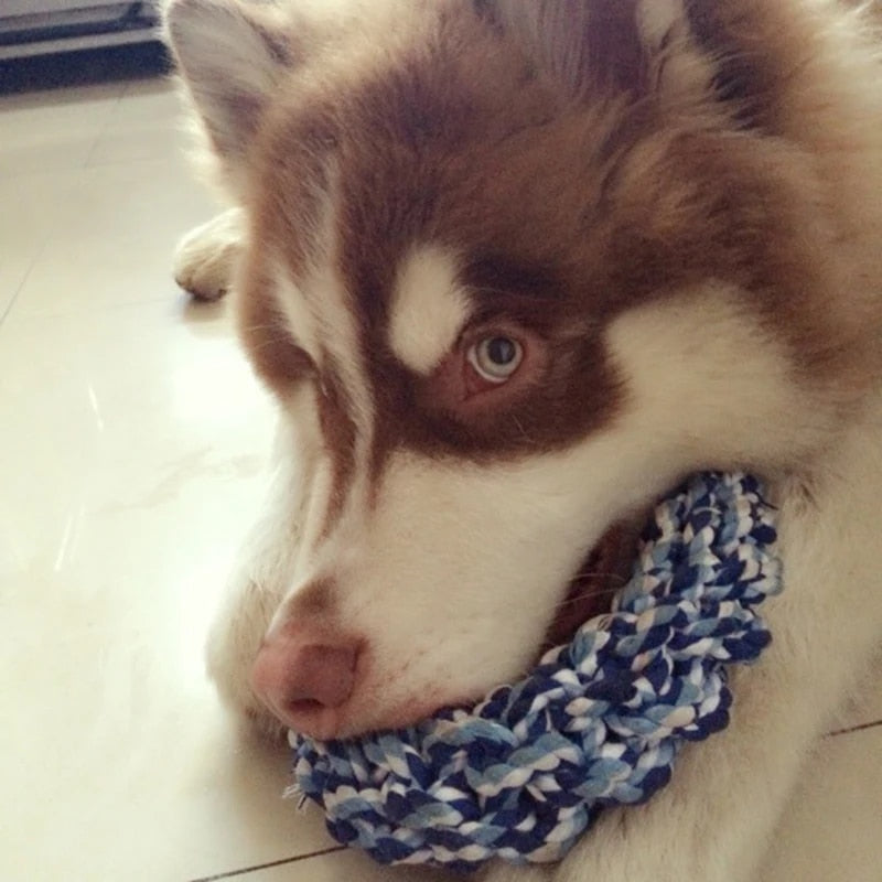 3j9FDurable-Big-Dog-Chew-Rope-Toy-Bite-Resistant-Pet-Toys-for-Medium-Large-Dogs-Golden-Retriever.jpg