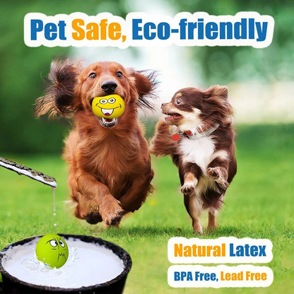 Widf6-Pcs-Latex-Dog-Squeaky-Toys-Rubber-Soft-Dog-Toys-Chewing-Squeaky-Toy-Fetch-Play-Balls.jpg