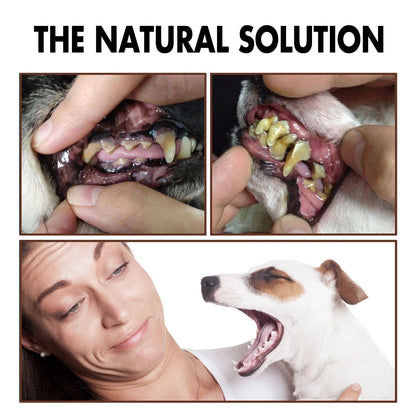 STSzPet-Tooth-Cleaning-Spray-Dogs-Remove-Bad-Breath-Freshener-Cats-Oral-Cleaning-Dental-Care-Deodorization-Spray.jpg