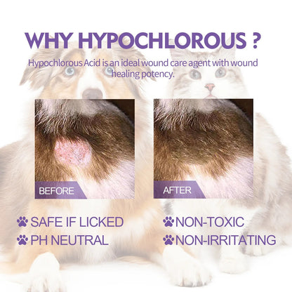 1AQ8Pet-Skin-Care-Spray-Flea-Lice-Insect-Killer-Spray-For-Dog-Cat-Puppy-Kitten-Treatment-Soothe.jpg