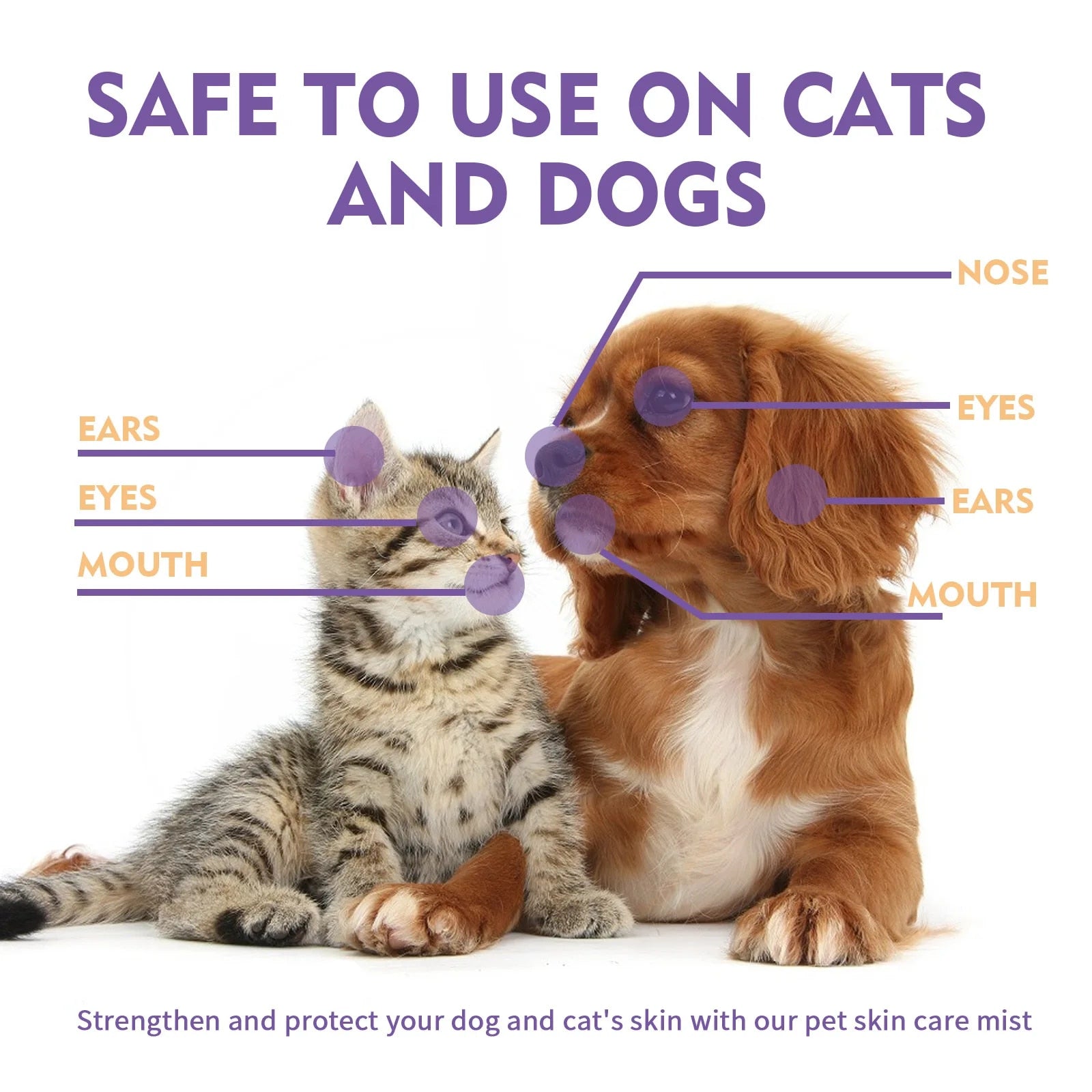 mdDbPet-Skin-Care-Spray-Flea-Lice-Insect-Killer-Spray-For-Dog-Cat-Puppy-Kitten-Treatment-Soothe.jpg