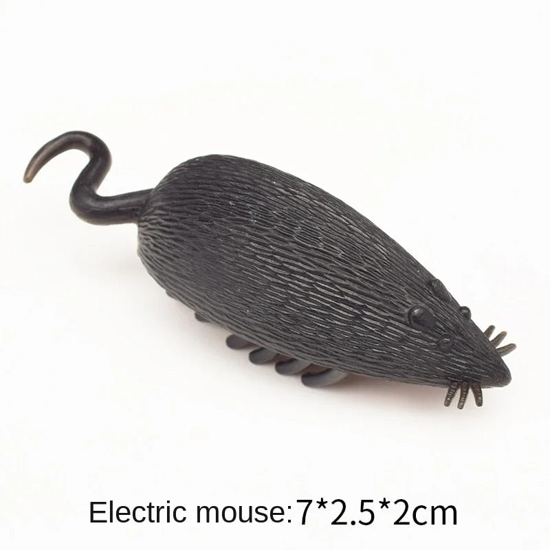 ruplPetInteractiveMiniElectricBugCatToyCatEscapeObstacleAutomaticFlipToyBatteryOperate