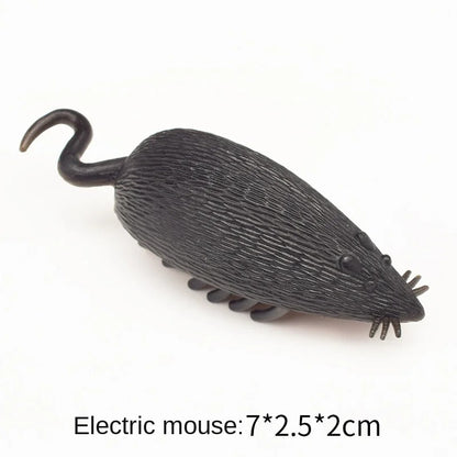 ruplPetInteractiveMiniElectricBugCatToyCatEscapeObstacleAutomaticFlipToyBatteryOperate