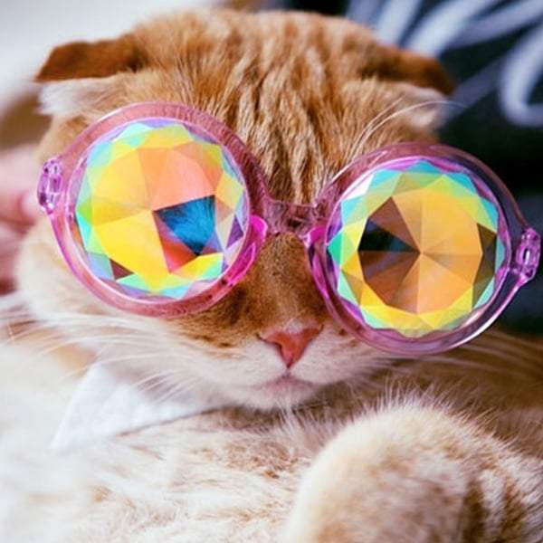 Motley Crystal Glasses 2