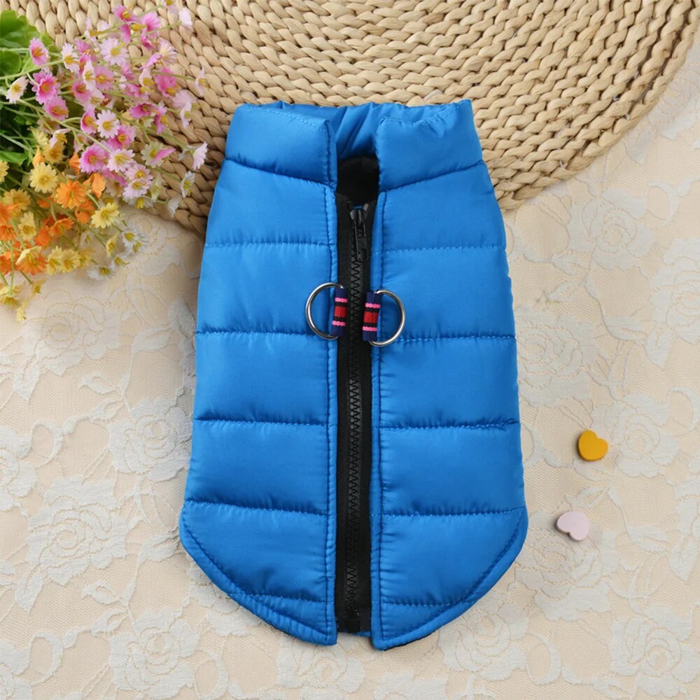 grKIWarm-Cotton-Dog-Vest-Clothes-Chihuahua-Pug-Pet-Clothing-Autumn-Winter-Dogs-Jacket-Coat-Outfit-For.jpg
