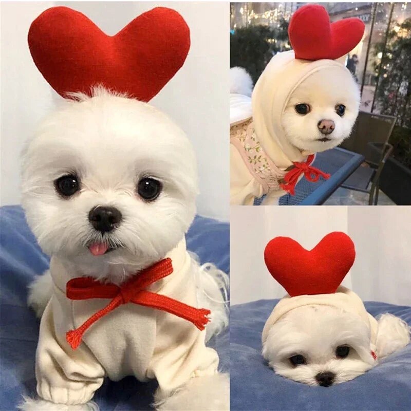 0H6mCute-Fruit-Dog-Clothes-for-Small-Dogs-hoodies-Warm-Fleece-Pet-Clothing-Puppy-Cat-Costume-Coat.jpg