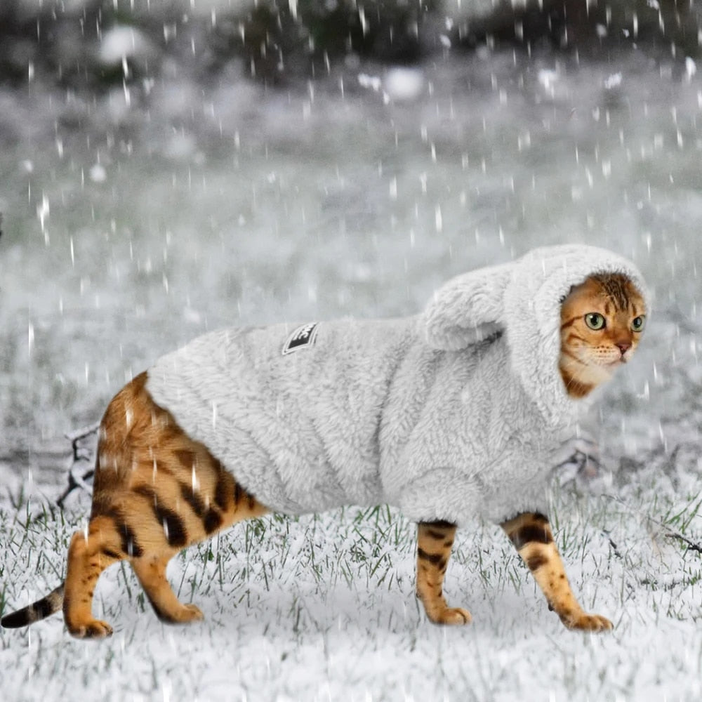 eGlxWarm-Cat-Clothes-Winter-Pet-Puppy-Kitten-Coat-Jacket-For-Small-Medium-Dogs-Cats-Chihuahua-Yorkshire.jpg