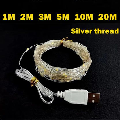 Kv9rUooKzz-USB-LED-String-Lights-Copper-Silver-Wire-Garland-Light-Waterproof-LED-Fairy-Lights-For-Christmas.jpg