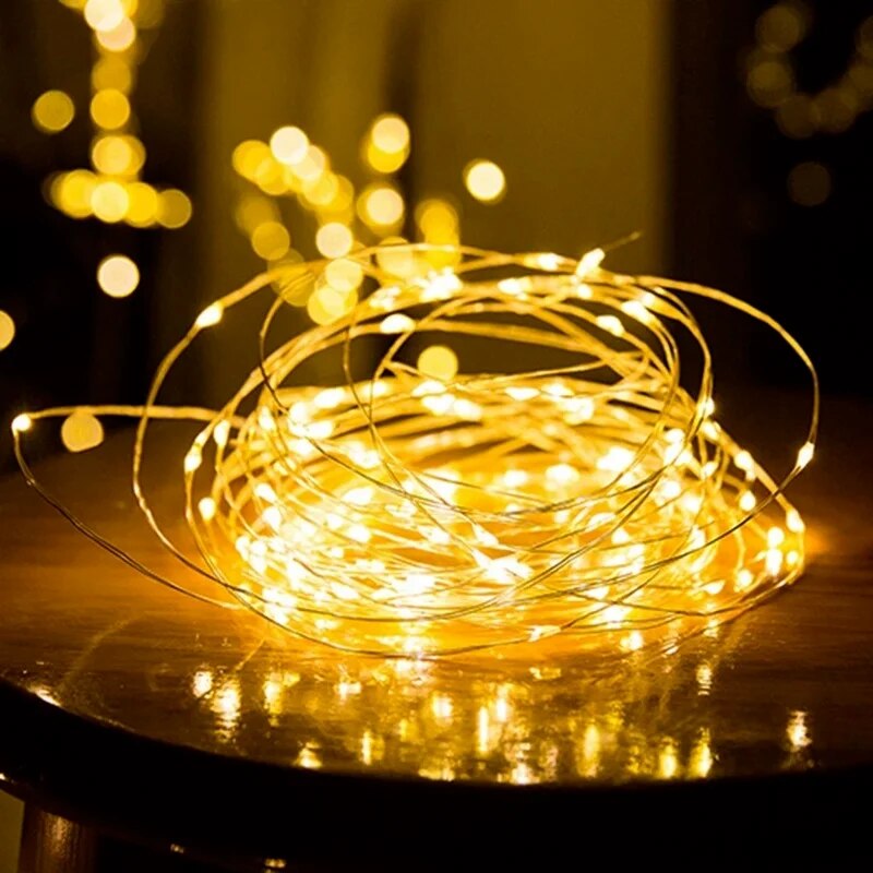 F0Ne1-30M-LED-String-Light-Garland-Street-Fairy-Lights-Christmas-LED-Outdoor-Decoration-For-Yard-Garden.jpg