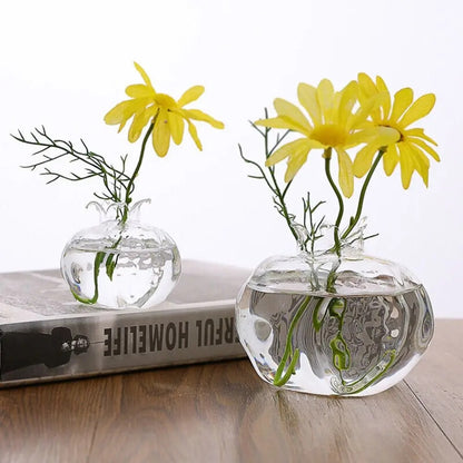 Q2thAvocado-Seed-Starter-Vase-Transparent-Glass-Vase-Vase-for-Growing-Plant-Glass-Seed-Growing-Kit-for.jpg