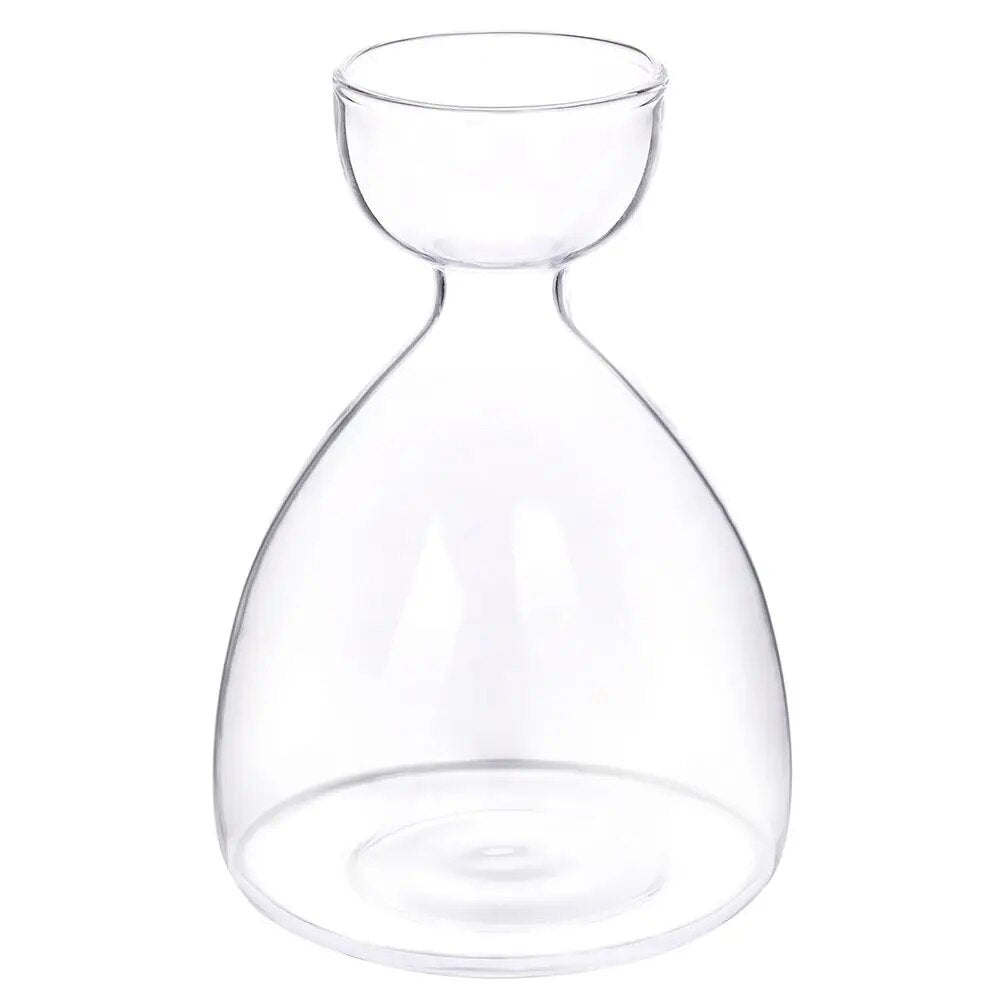 91KuAvocado-Seed-Starter-Vase-Transparent-Glass-Vase-Vase-for-Growing-Plant-Glass-Seed-Growing-Kit-for.jpg