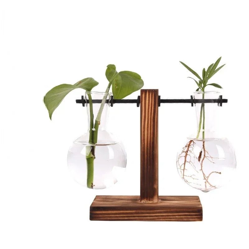 TYawHydroponic-Plant-Terrarium-Vasevase-Decoration-Home-Glass-Bottle-Hydroponic-Desktop-Decoration-Office-Green-Plant-Small-Potted.jpg