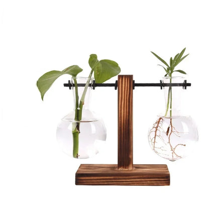 TYawHydroponic-Plant-Terrarium-Vasevase-Decoration-Home-Glass-Bottle-Hydroponic-Desktop-Decoration-Office-Green-Plant-Small-Potted.jpg