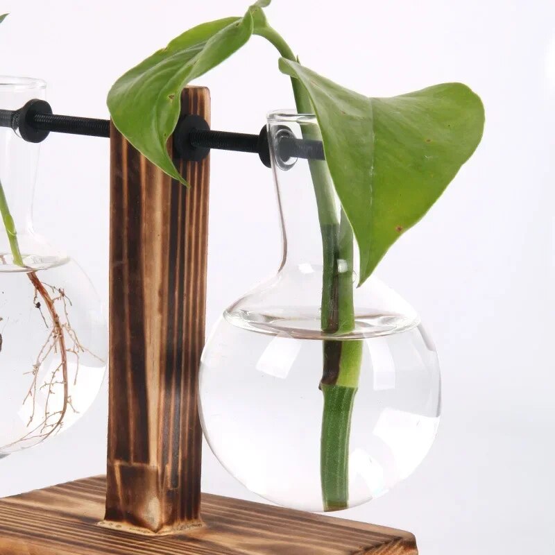 gy7UHydroponic-Plant-Terrarium-Vasevase-Decoration-Home-Glass-Bottle-Hydroponic-Desktop-Decoration-Office-Green-Plant-Small-Potted.jpg