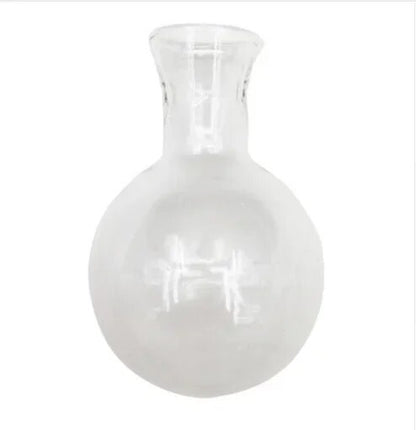 J8lQHydroponic-Plant-Terrarium-Vasevase-Decoration-Home-Glass-Bottle-Hydroponic-Desktop-Decoration-Office-Green-Plant-Small-Potted.jpg