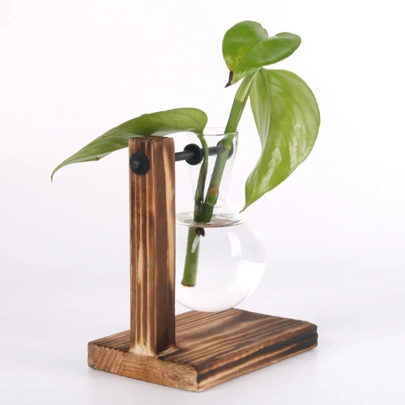 DhlDHydroponic-Plant-Terrarium-Vasevase-Decoration-Home-Glass-Bottle-Hydroponic-Desktop-Decoration-Office-Green-Plant-Small-Potted.jpg