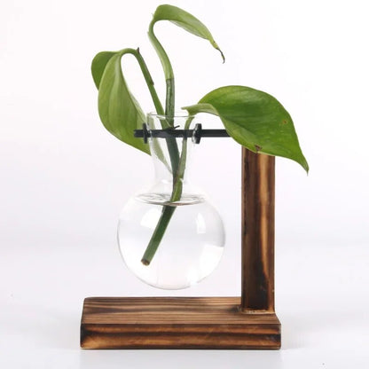 hLTGHydroponic-Plant-Terrarium-Vasevase-Decoration-Home-Glass-Bottle-Hydroponic-Desktop-Decoration-Office-Green-Plant-Small-Potted.jpg