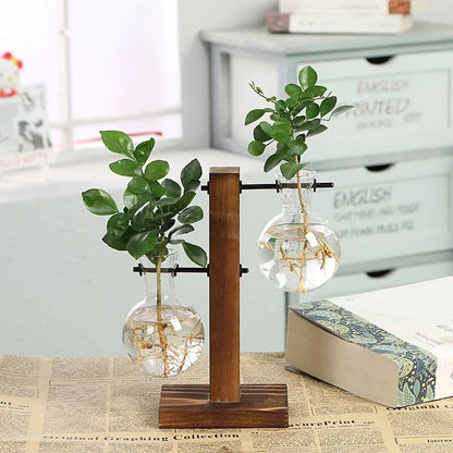 Uv75Hydroponic-Plant-Terrarium-Vasevase-Decoration-Home-Glass-Bottle-Hydroponic-Desktop-Decoration-Office-Green-Plant-Small-Potted.jpg