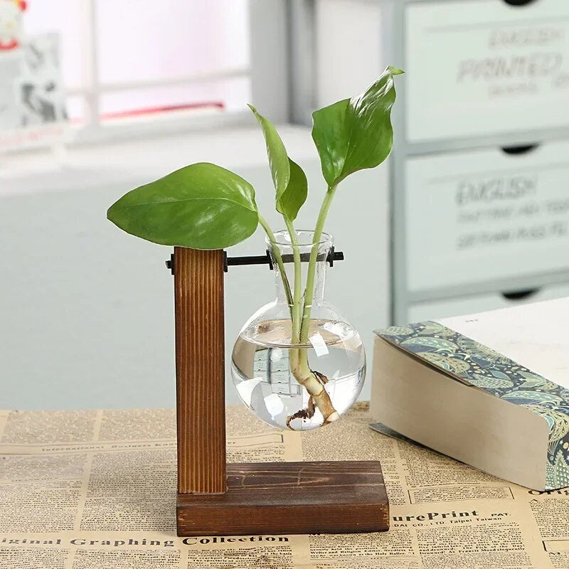 BotPHydroponic-Plant-Terrarium-Vasevase-Decoration-Home-Glass-Bottle-Hydroponic-Desktop-Decoration-Office-Green-Plant-Small-Potted.jpg