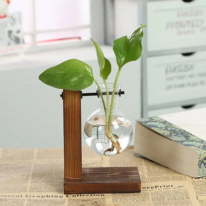 BotPHydroponic-Plant-Terrarium-Vasevase-Decoration-Home-Glass-Bottle-Hydroponic-Desktop-Decoration-Office-Green-Plant-Small-Potted.jpg