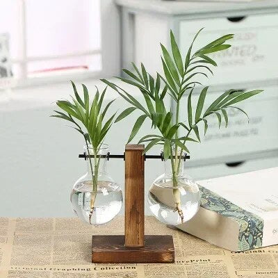 YrxJHydroponic-Plant-Terrarium-Vasevase-Decoration-Home-Glass-Bottle-Hydroponic-Desktop-Decoration-Office-Green-Plant-Small-Potted.jpg