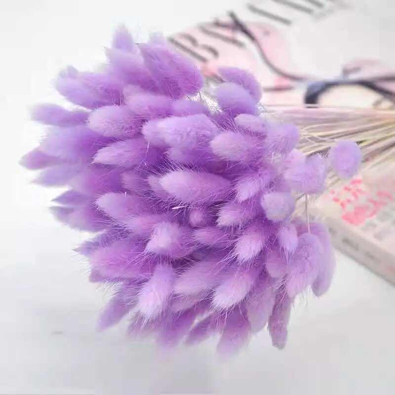 ZNqu30-60pcs-Dried-Flower-Rabbit-Tail-Bouquet-Home-Decor-Natural-Fluffy-Pampas-Floral-Arrangement-Rustic-Wedding.jpg