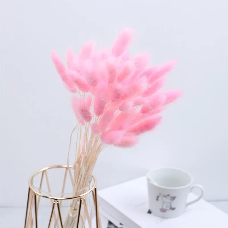 Q6lx30-60pcs-Dried-Flower-Rabbit-Tail-Bouquet-Home-Decor-Natural-Fluffy-Pampas-Floral-Arrangement-Rustic-Wedding.jpg